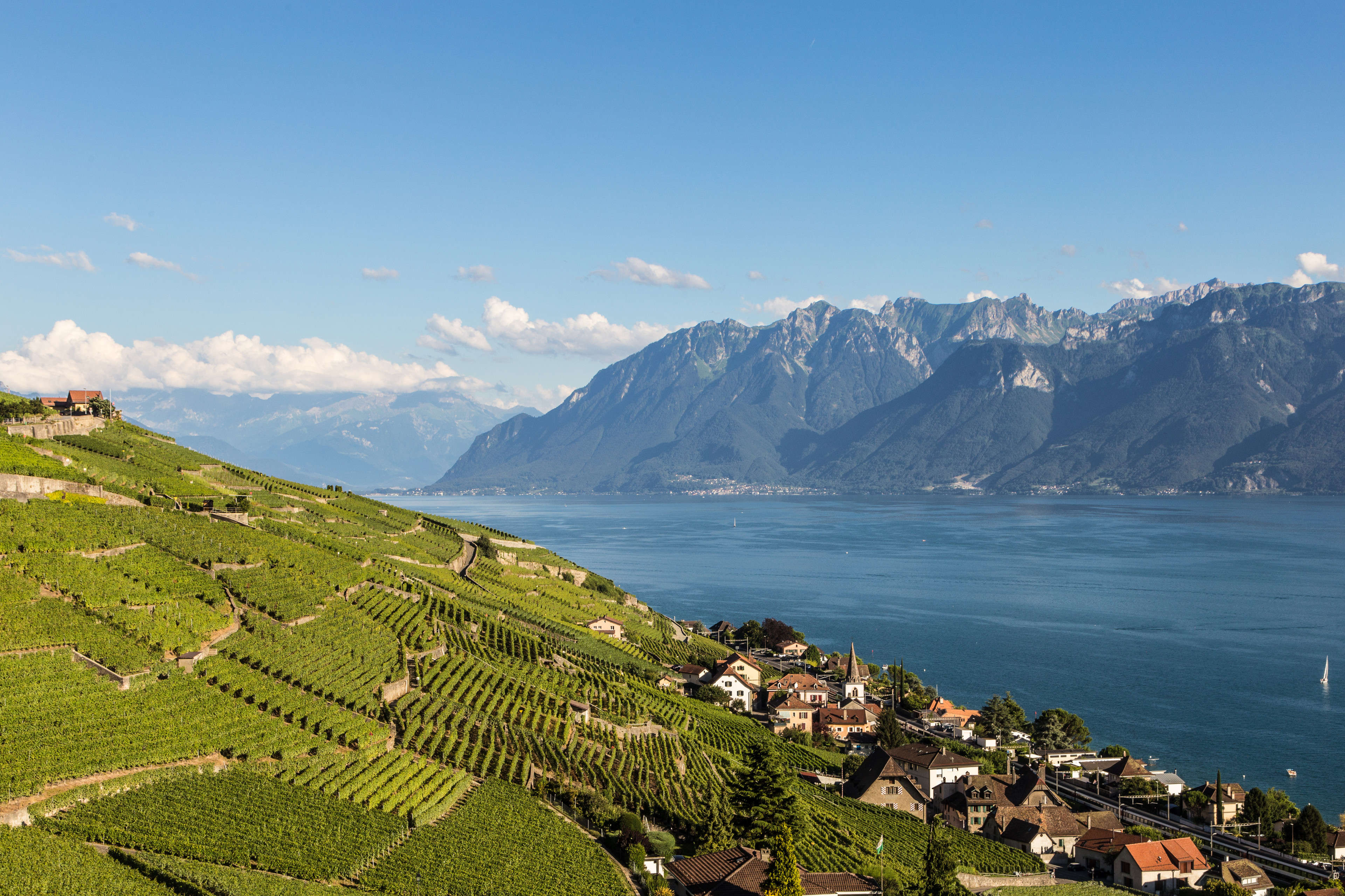 Lavaux Terraces