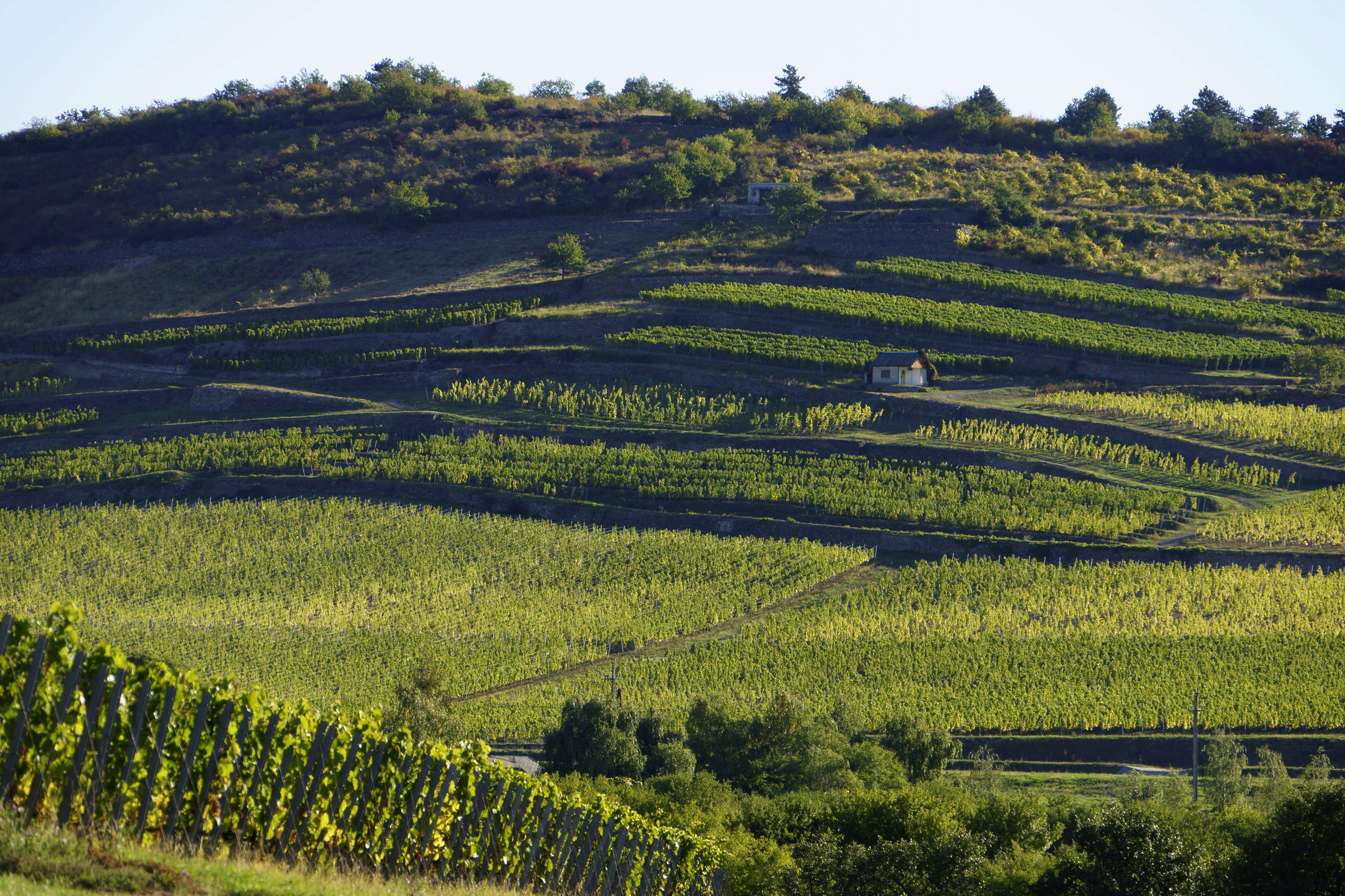 Tokaj, Hungary