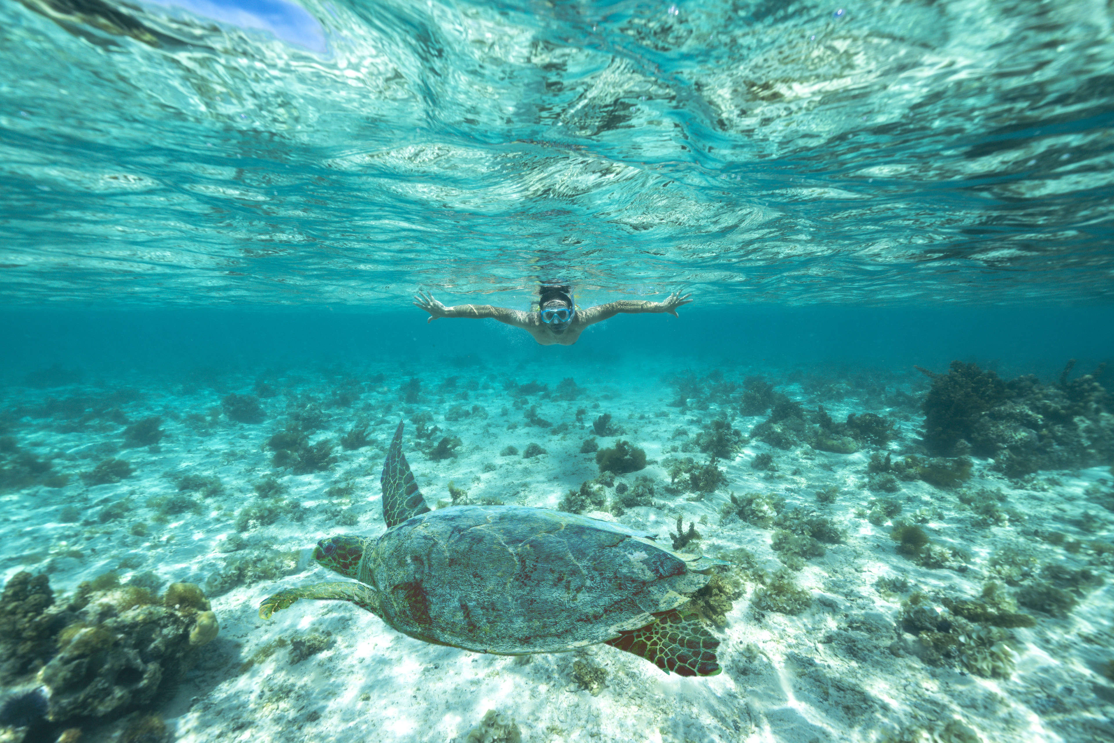 Snorkelling, Mauritius