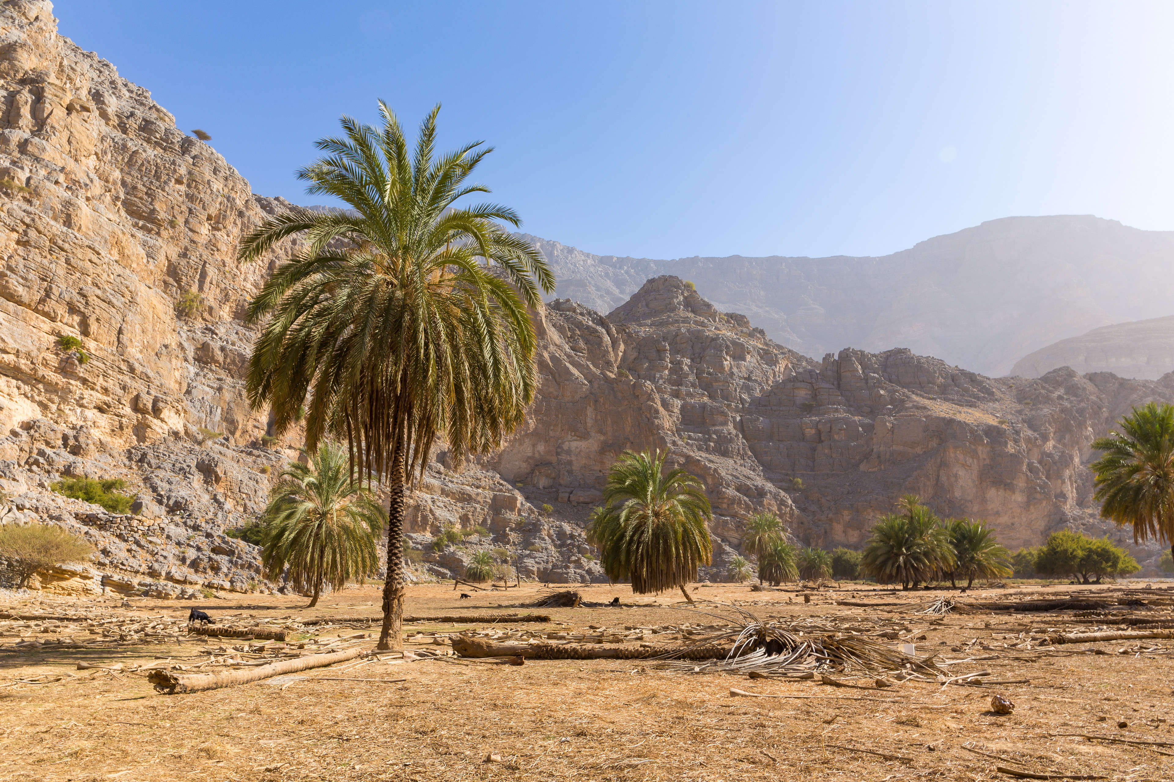 Ras Al-Khaimah mountains