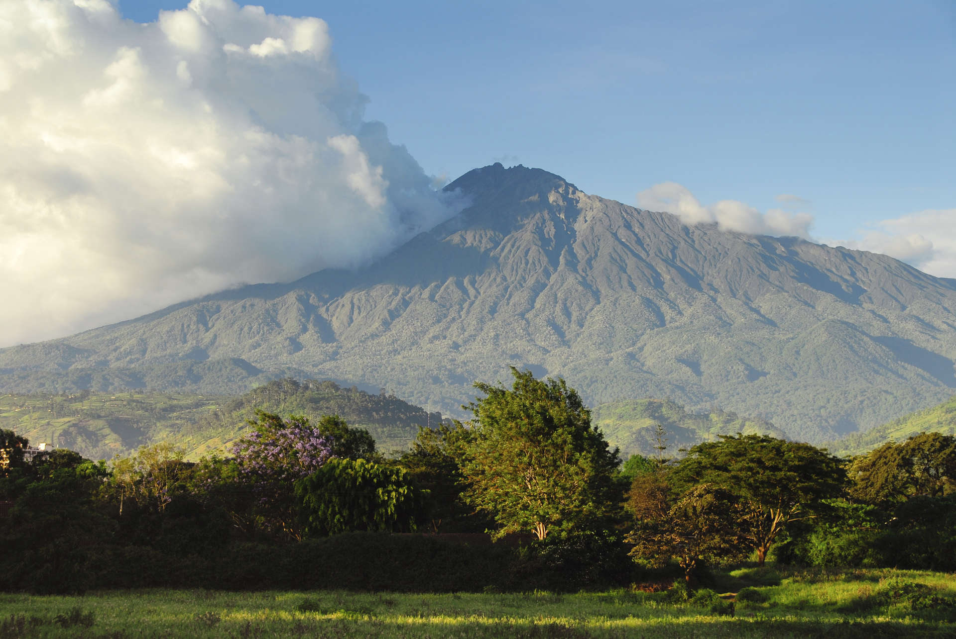 Arusha National Park