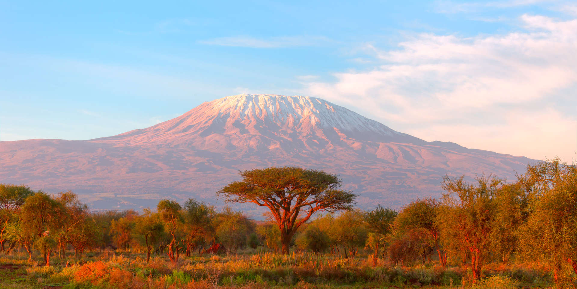 Arusha is the gateway to the Northern National Parks