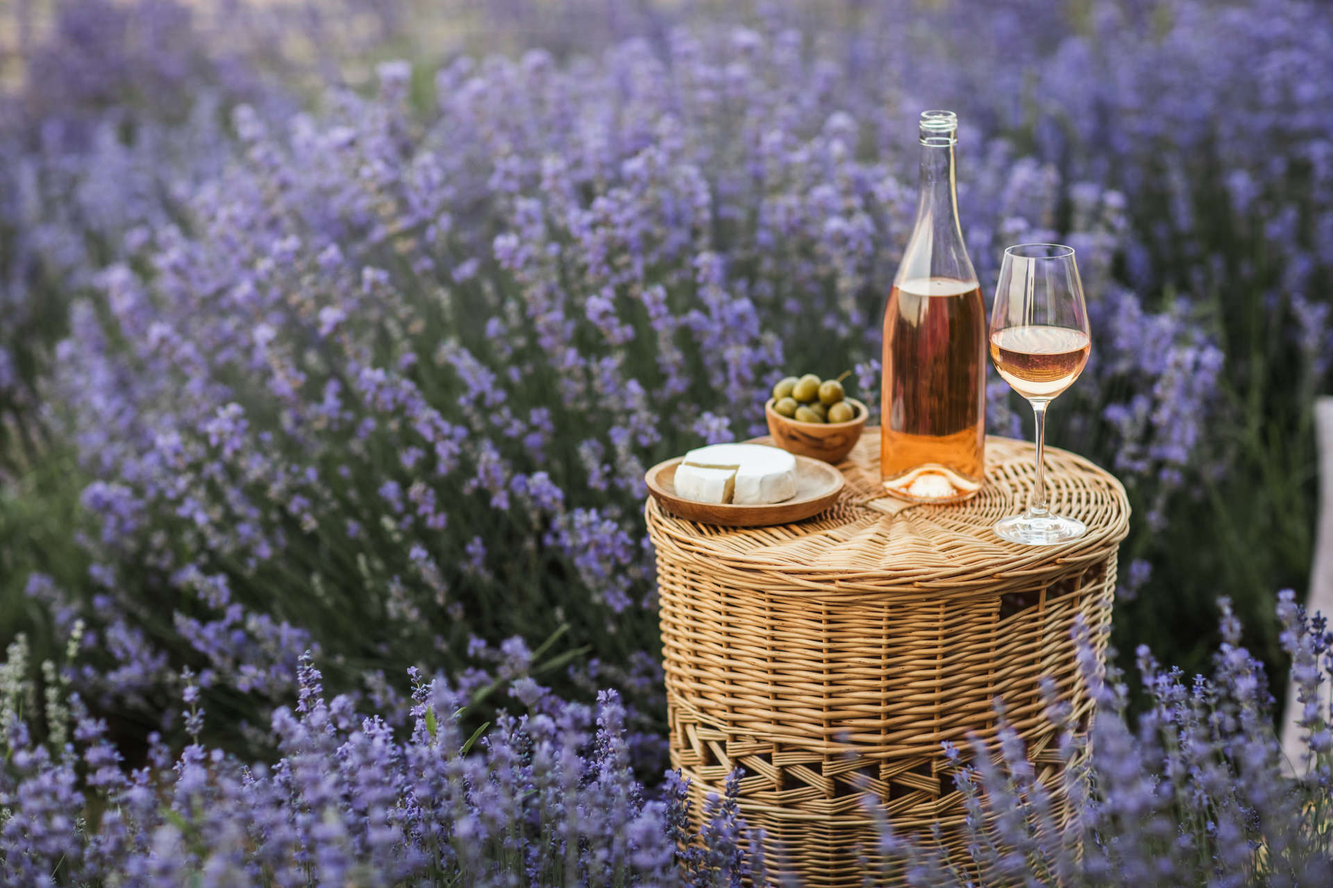 More than 90 percent of the vineyards in Provence are planted only with grapes for making rosé