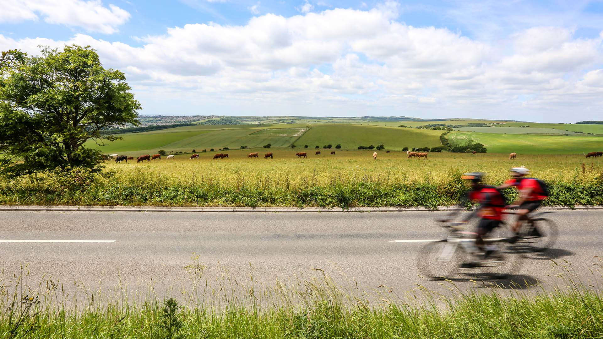 cycling through countryside