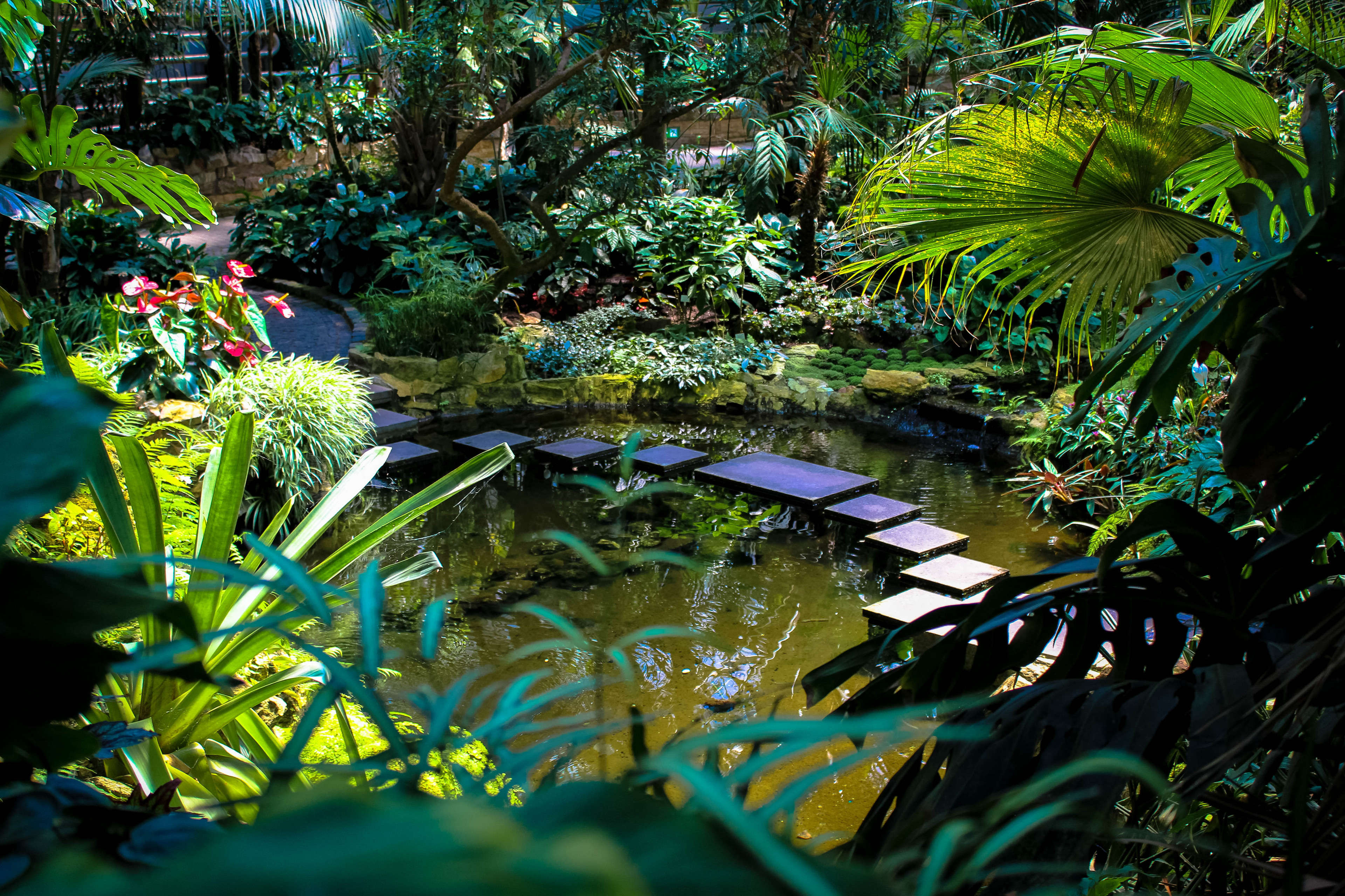 Der Palmengarten in Frankfurt